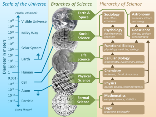 Branches of science